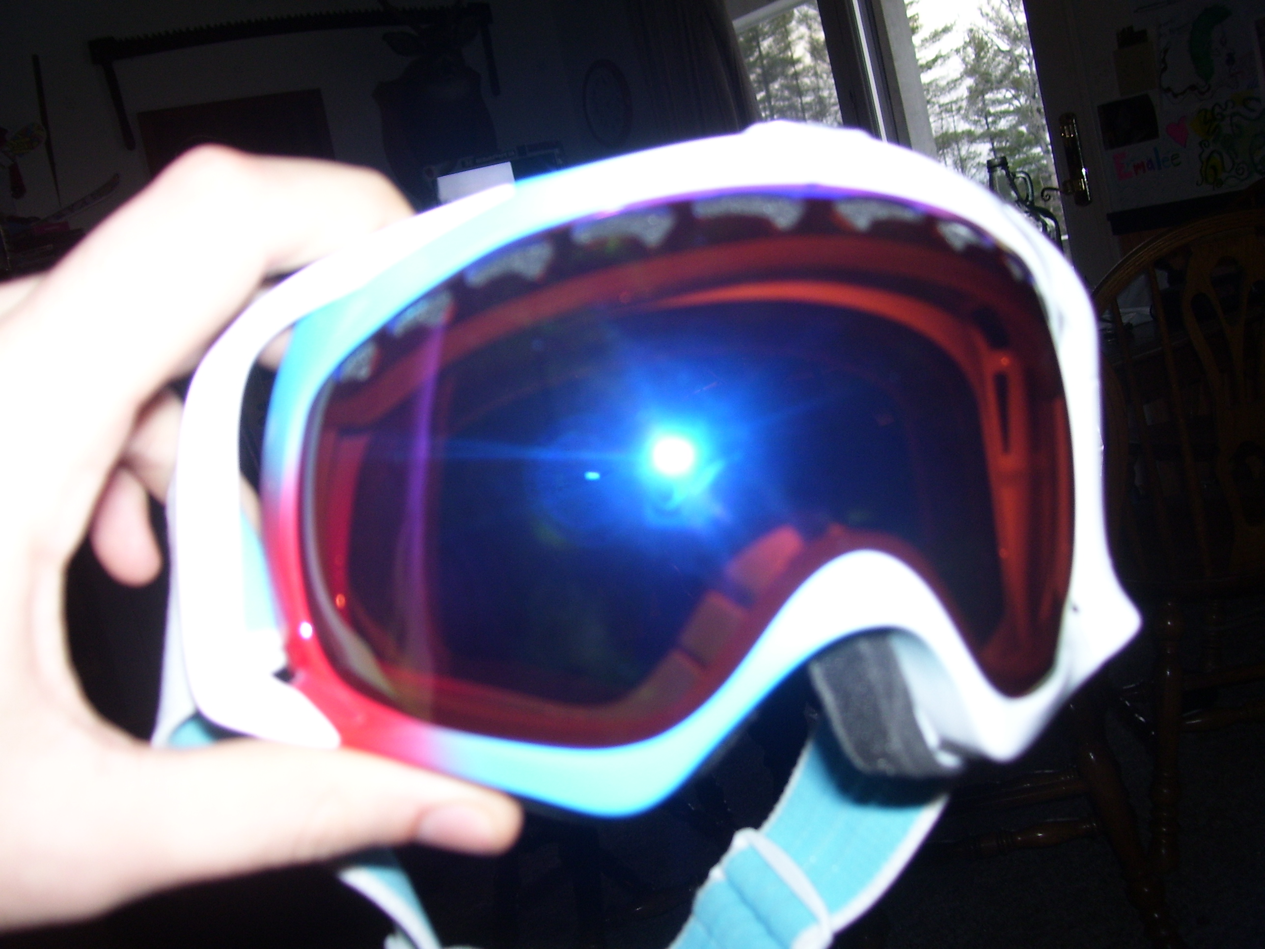 Eastern boarder crobahs