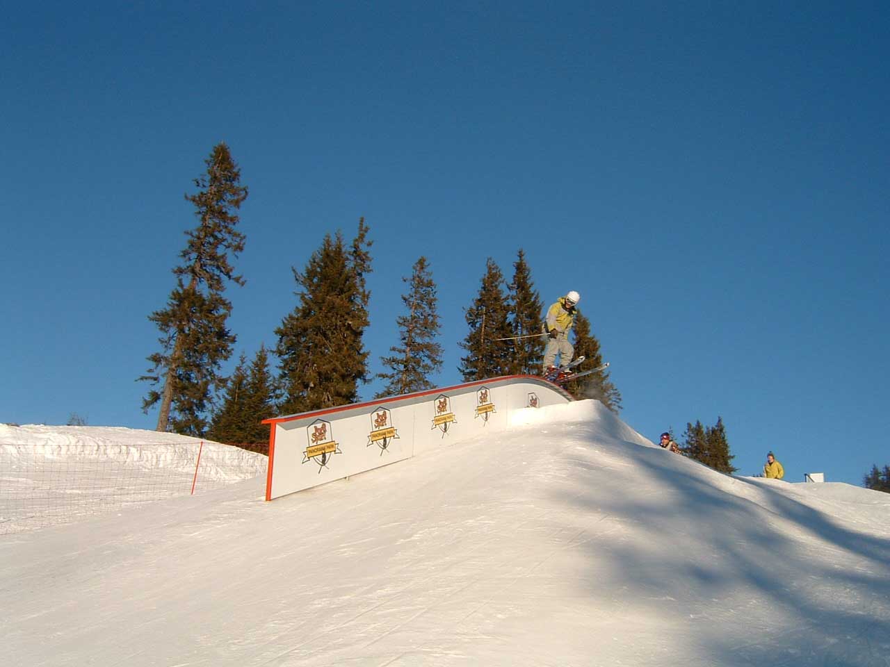 Elephant just before tailpress