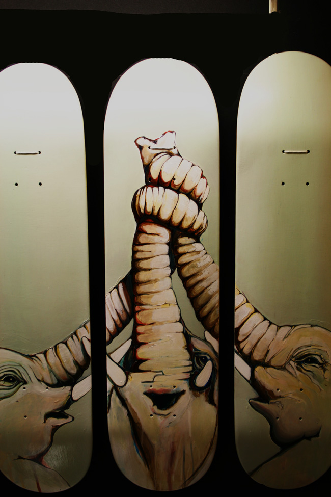 Elephant skate decks