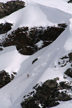 Elvis Eidsvold Harsheim