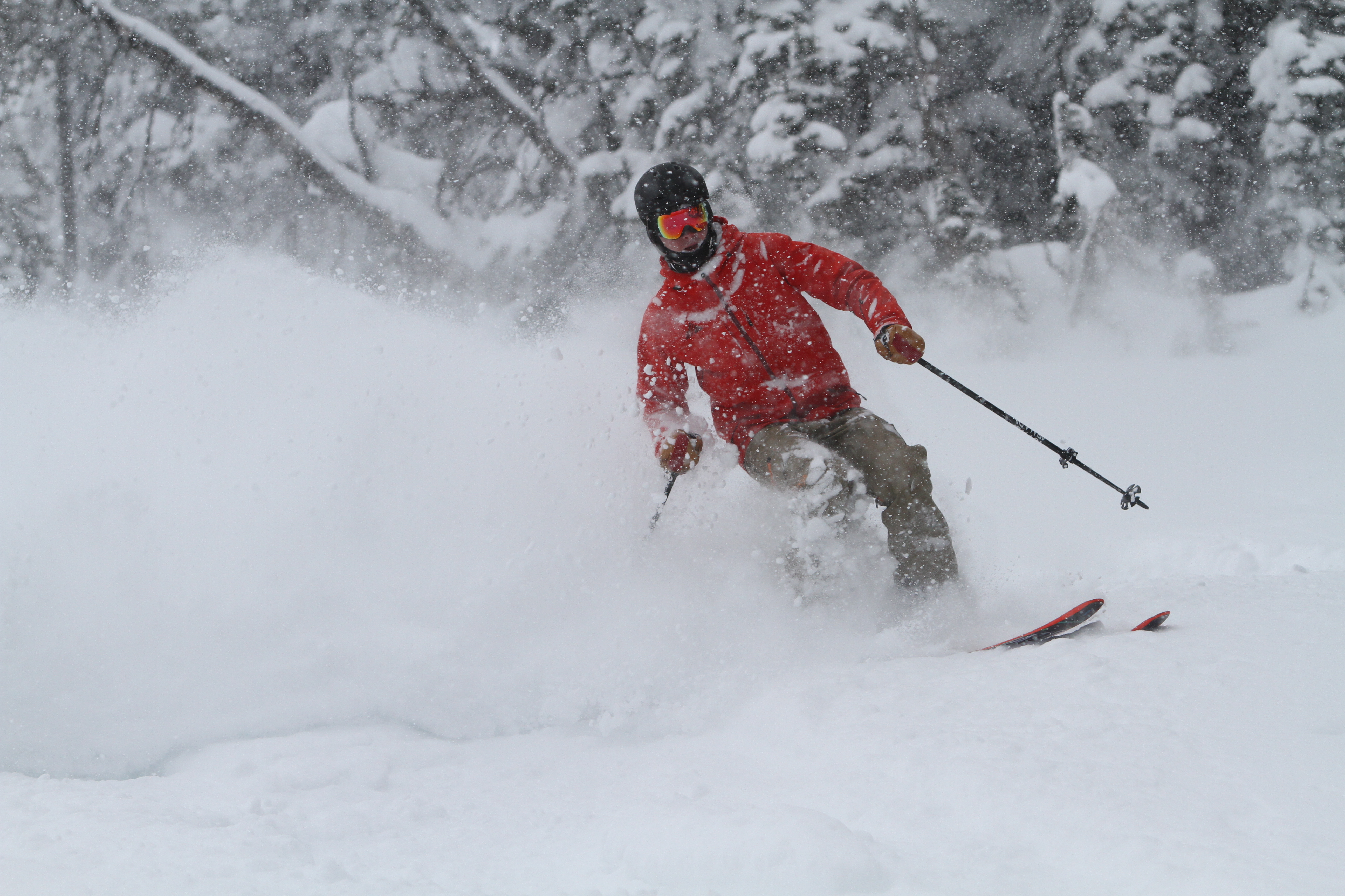Emerging from the white room