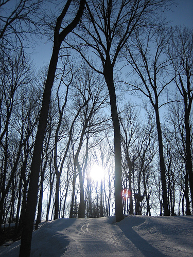 Encore..that bitch destroyed my shoulder.