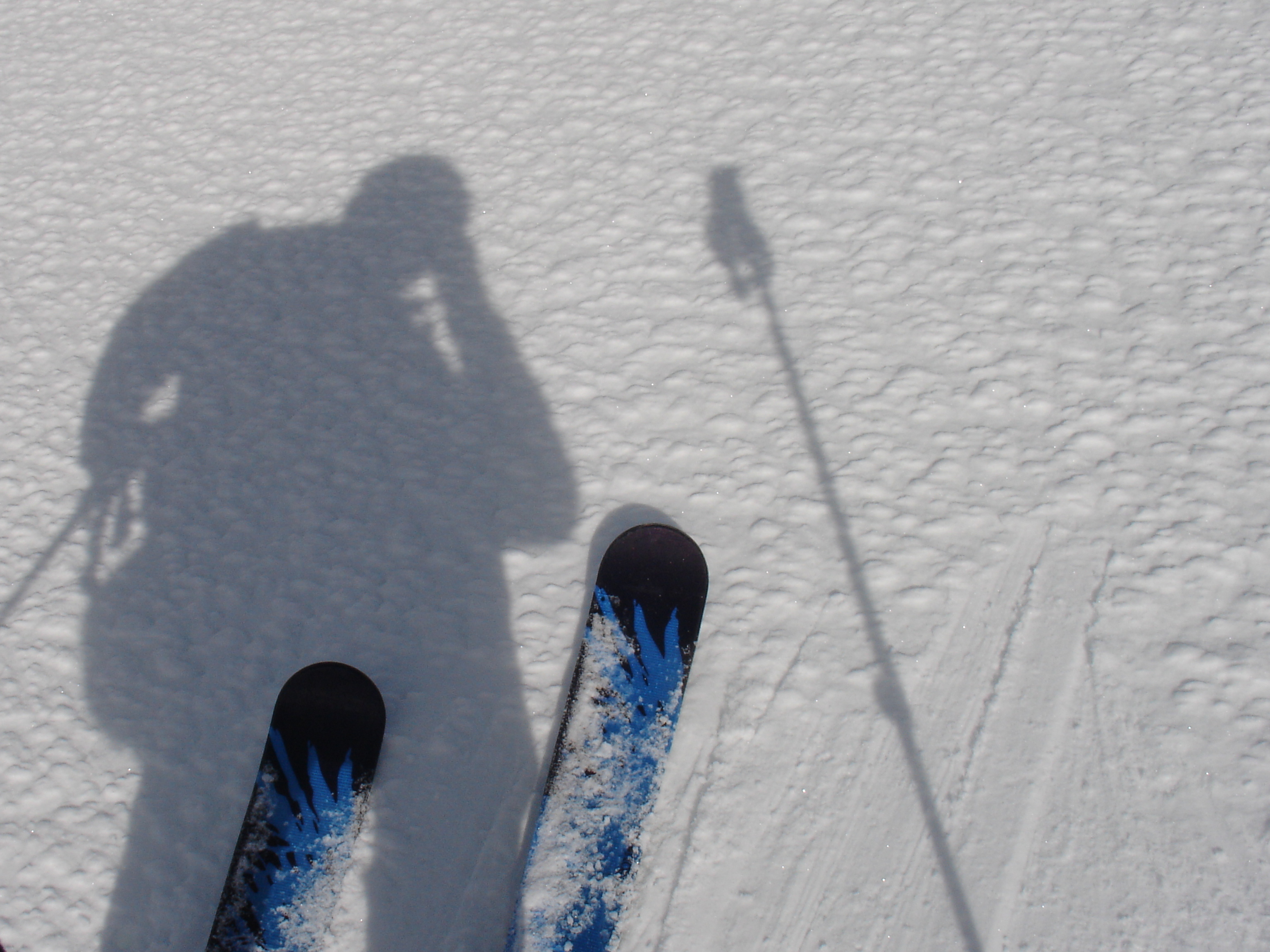 End of June @ Sunshine