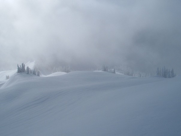 Endless and Deep Powder