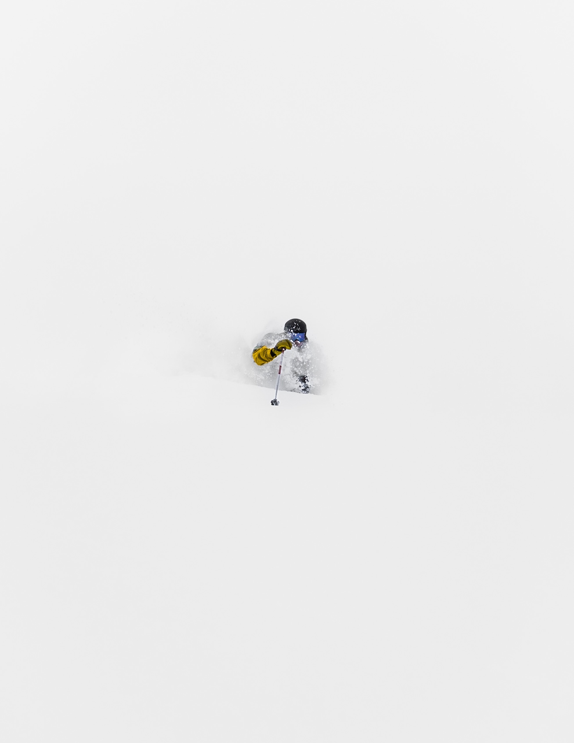 Enter the white room...