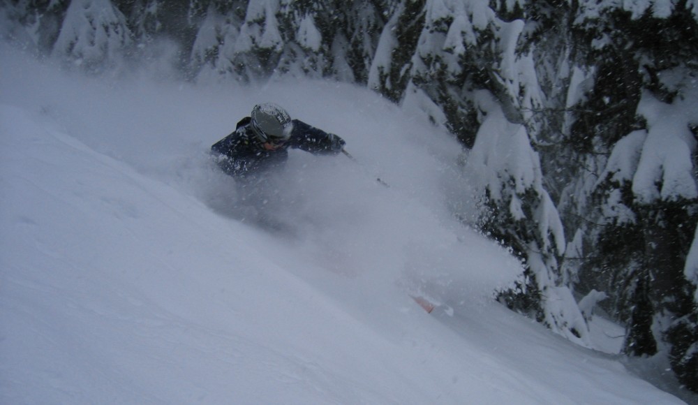 Eric Pow Turn wildcats