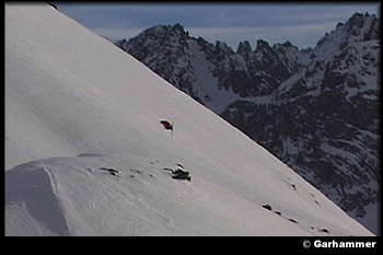 Euro-B/C hit : corked 7 : Seb Garhammer