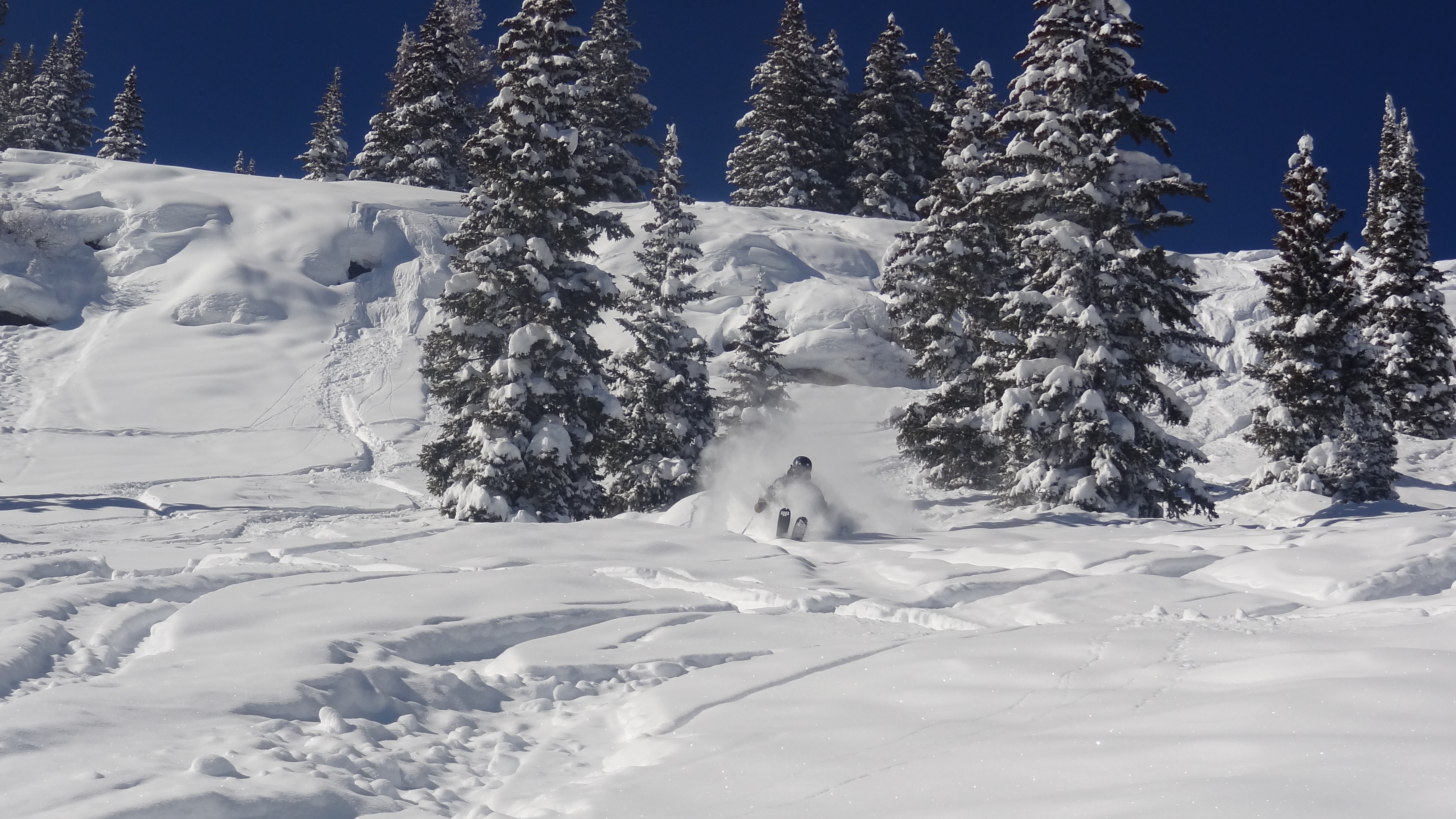 EV pow fields