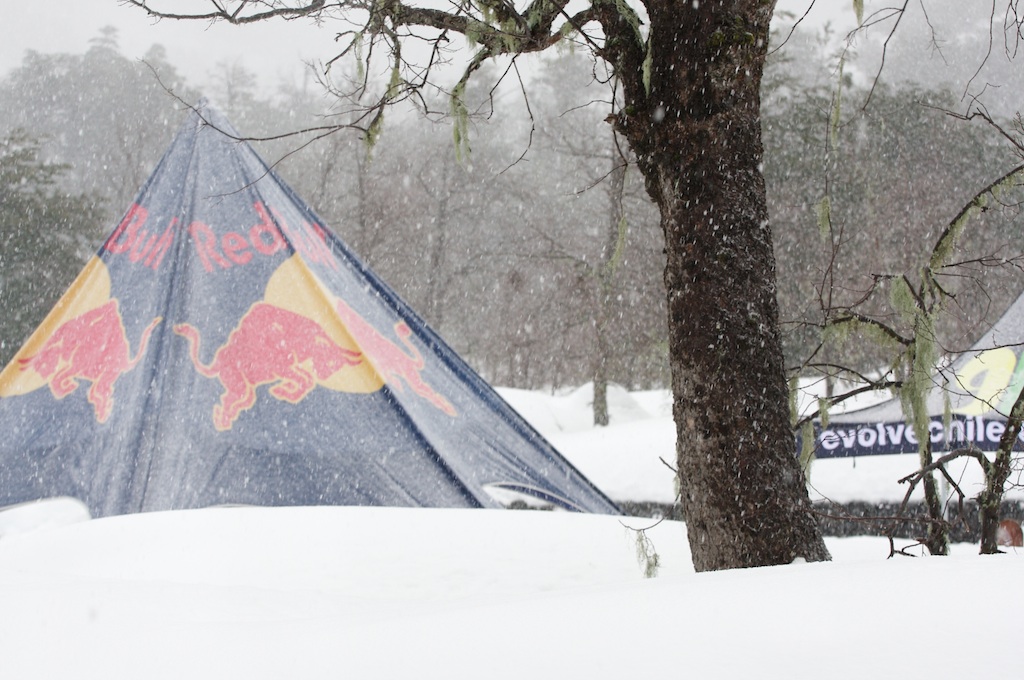 Evolve Chile REd bull