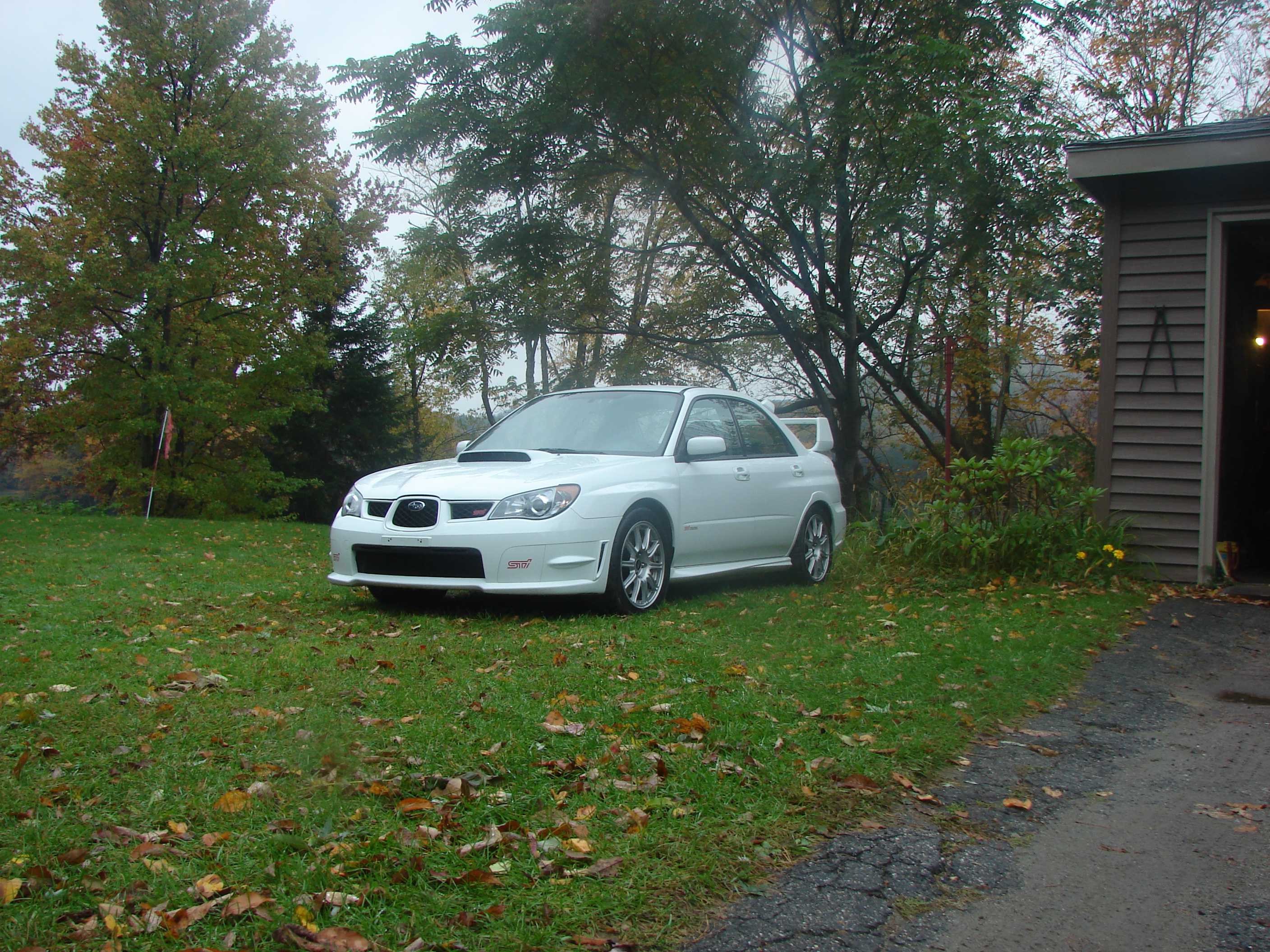 Ex gf bought me this