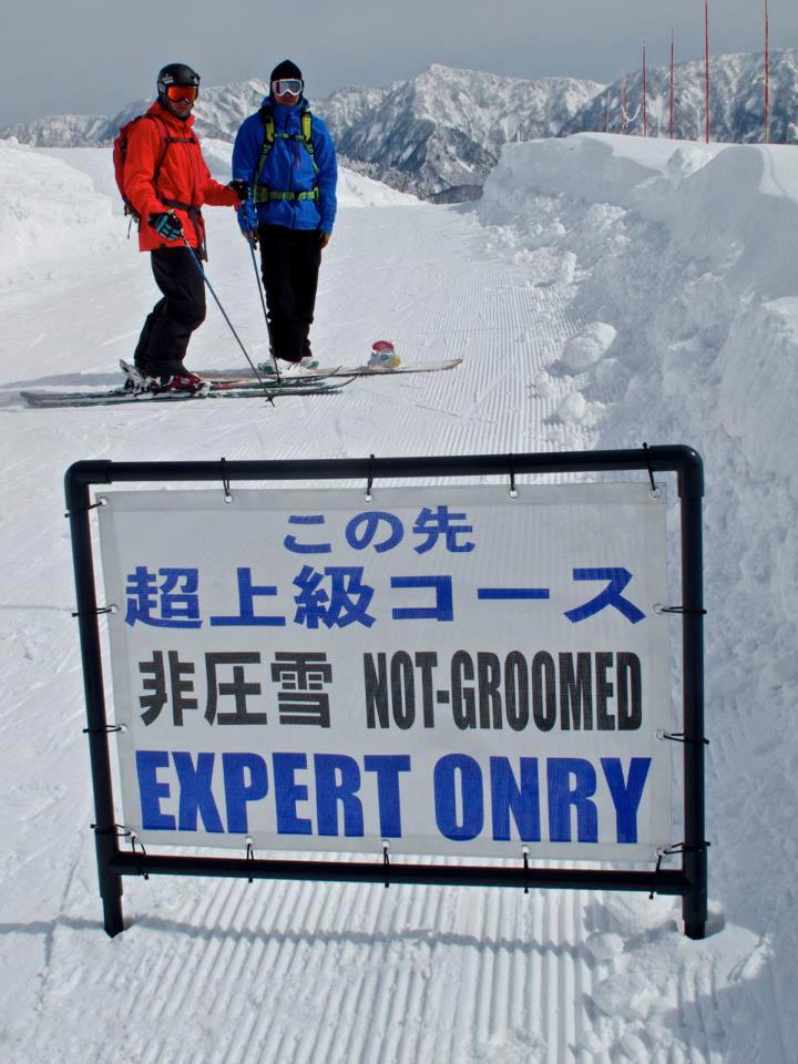Expert's Onry