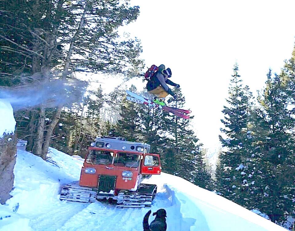 exploration bonus: gap over cat and dog