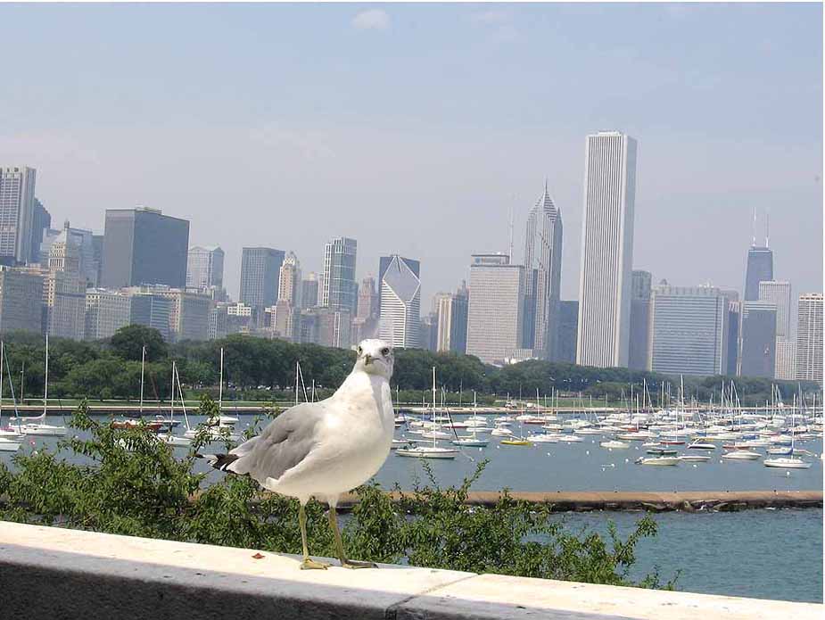 eying my french fries