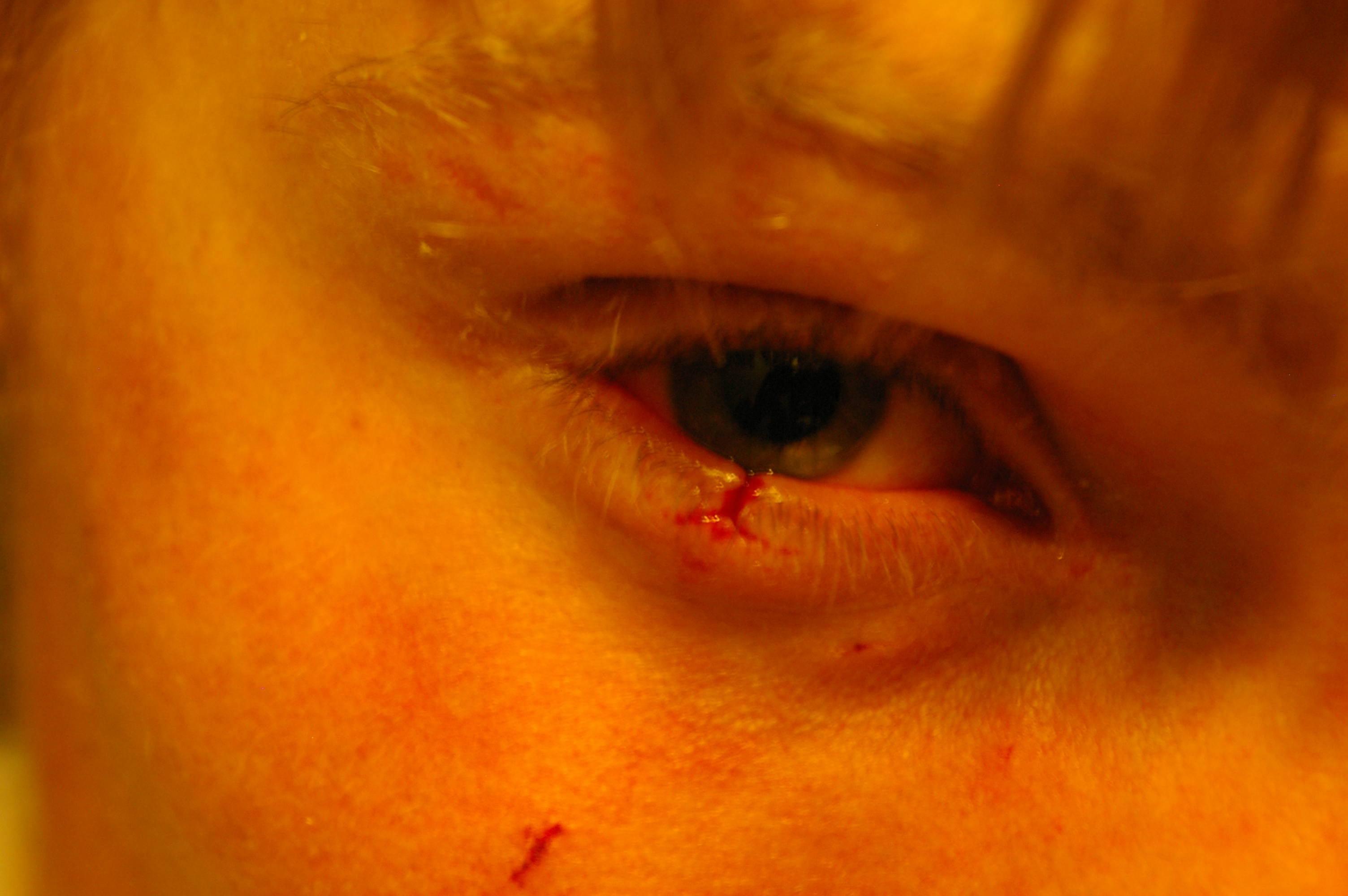 Face raped by cat-close up