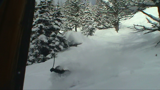 Face Shot Jackson Hole