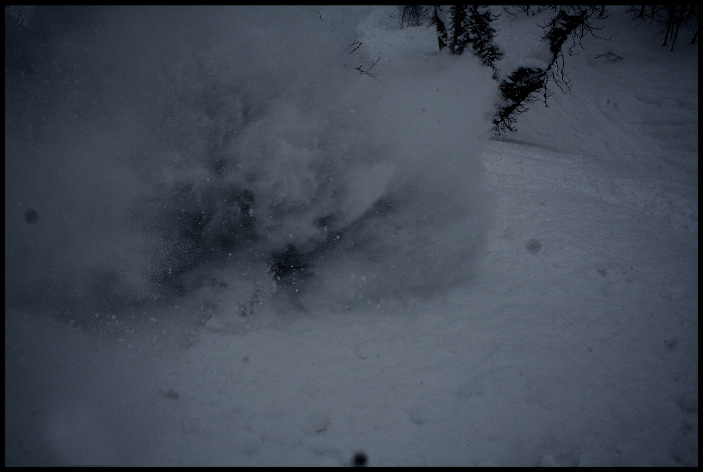 Faceshot #429 from above