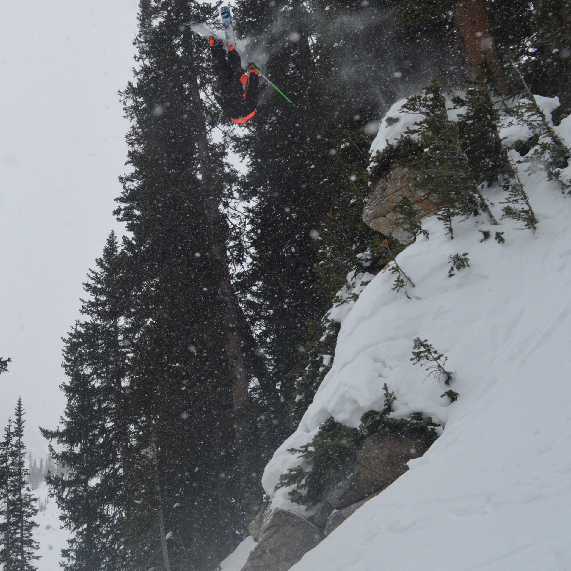 fackblip off baby kong