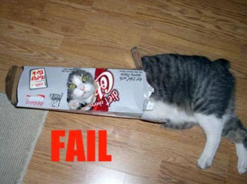 Fail