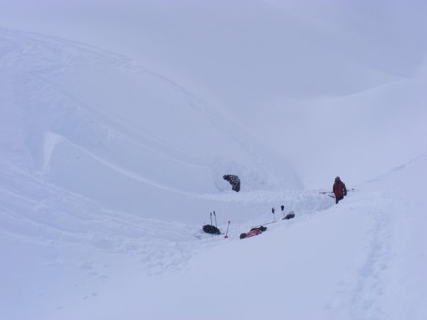 Failed hip of lameness