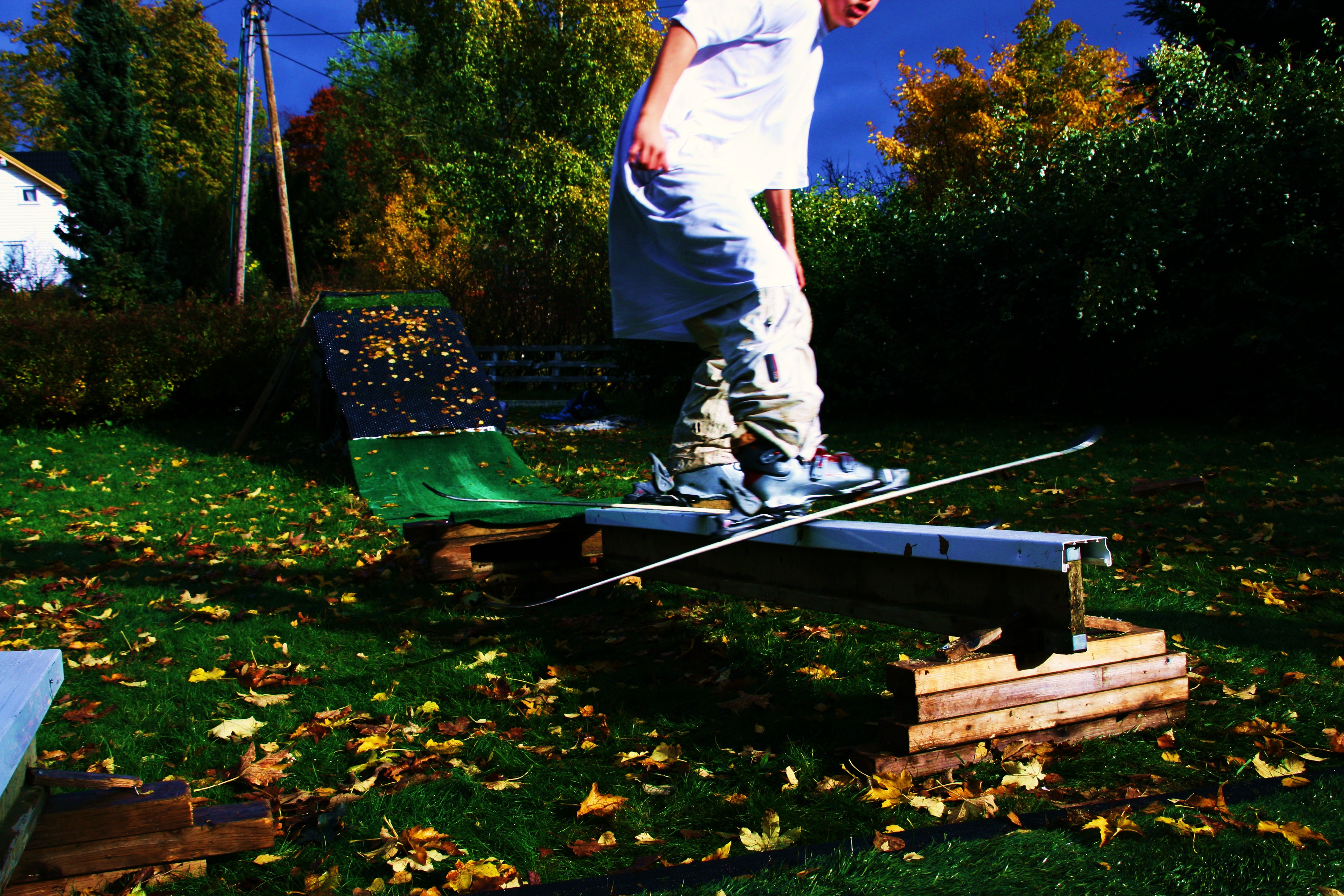 Fall Colors in my backyard