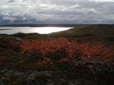 Fall on the tundra