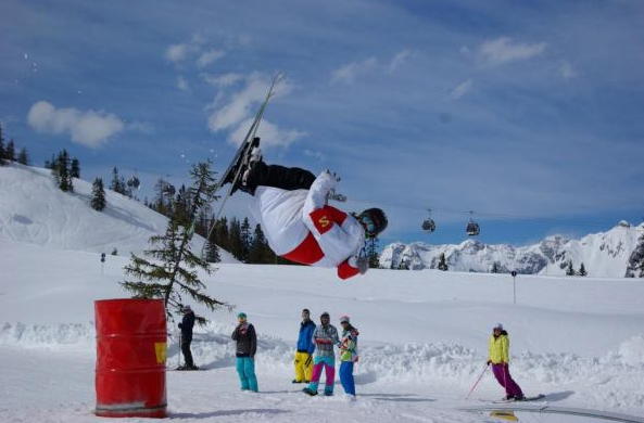 Fastplant misty five