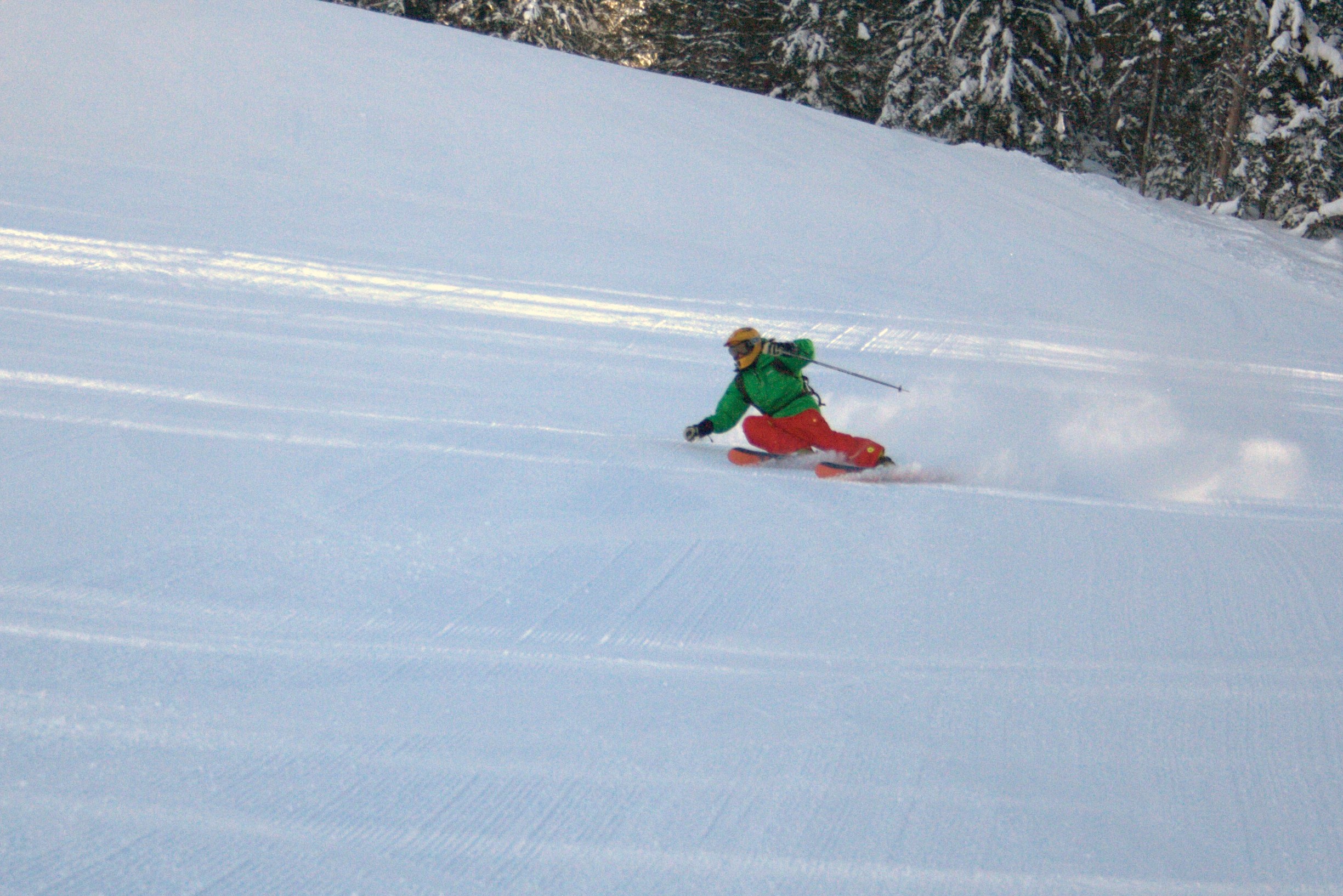 Fatskis groomers=no boot out