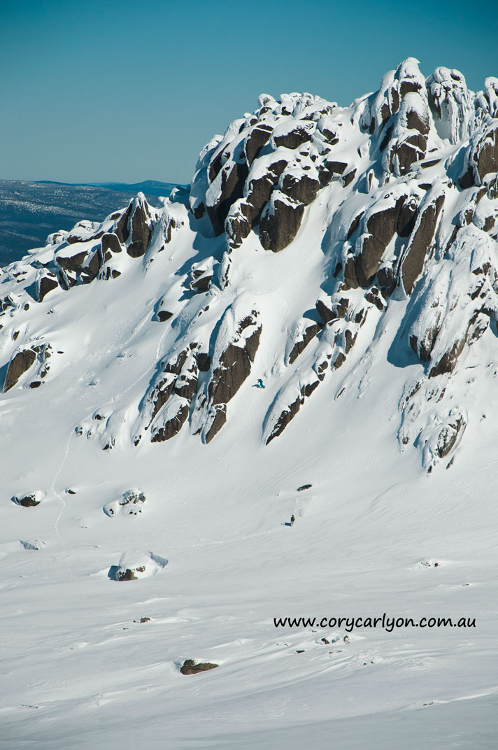 Favorite line of the season