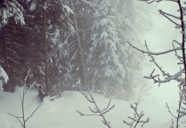 February 09 - 3 of 3