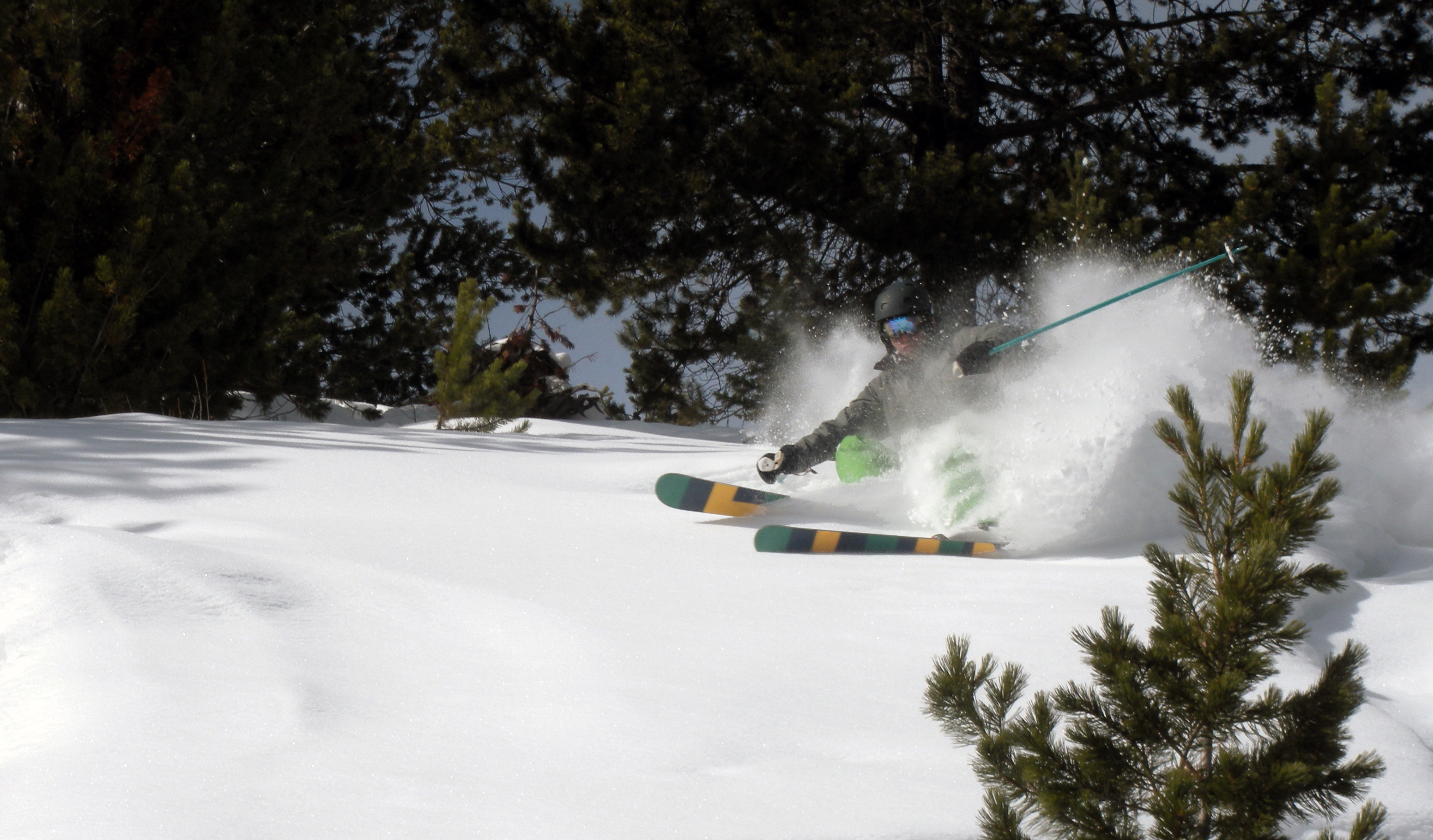 February snow in the rockies