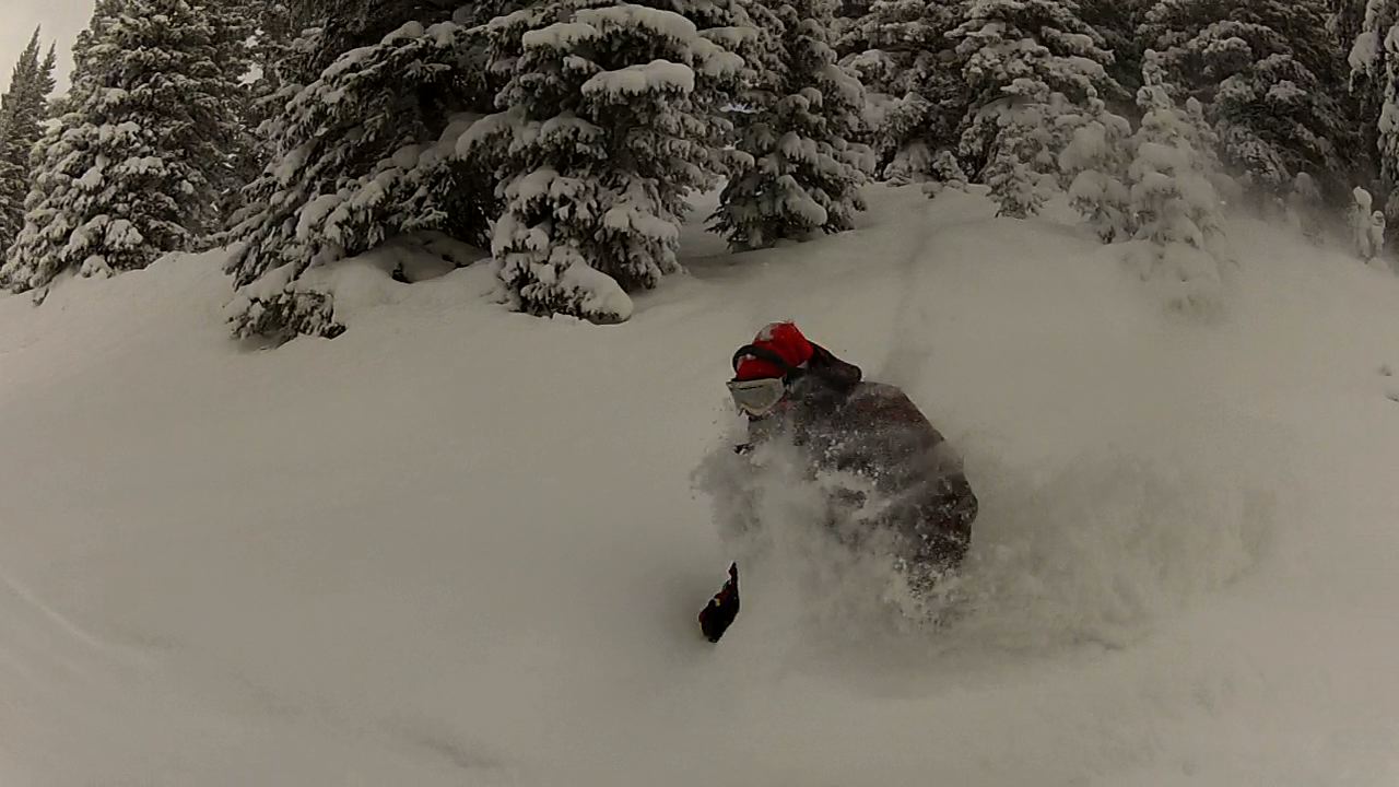 finding some freshies