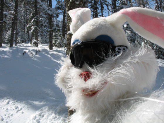 Finding the Easter Bunny in Ripsaw @ the loaf