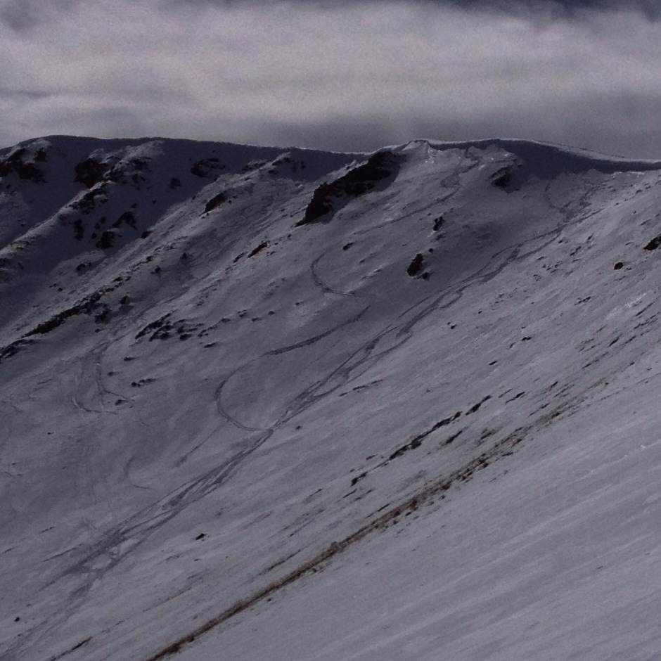 first lines of the season