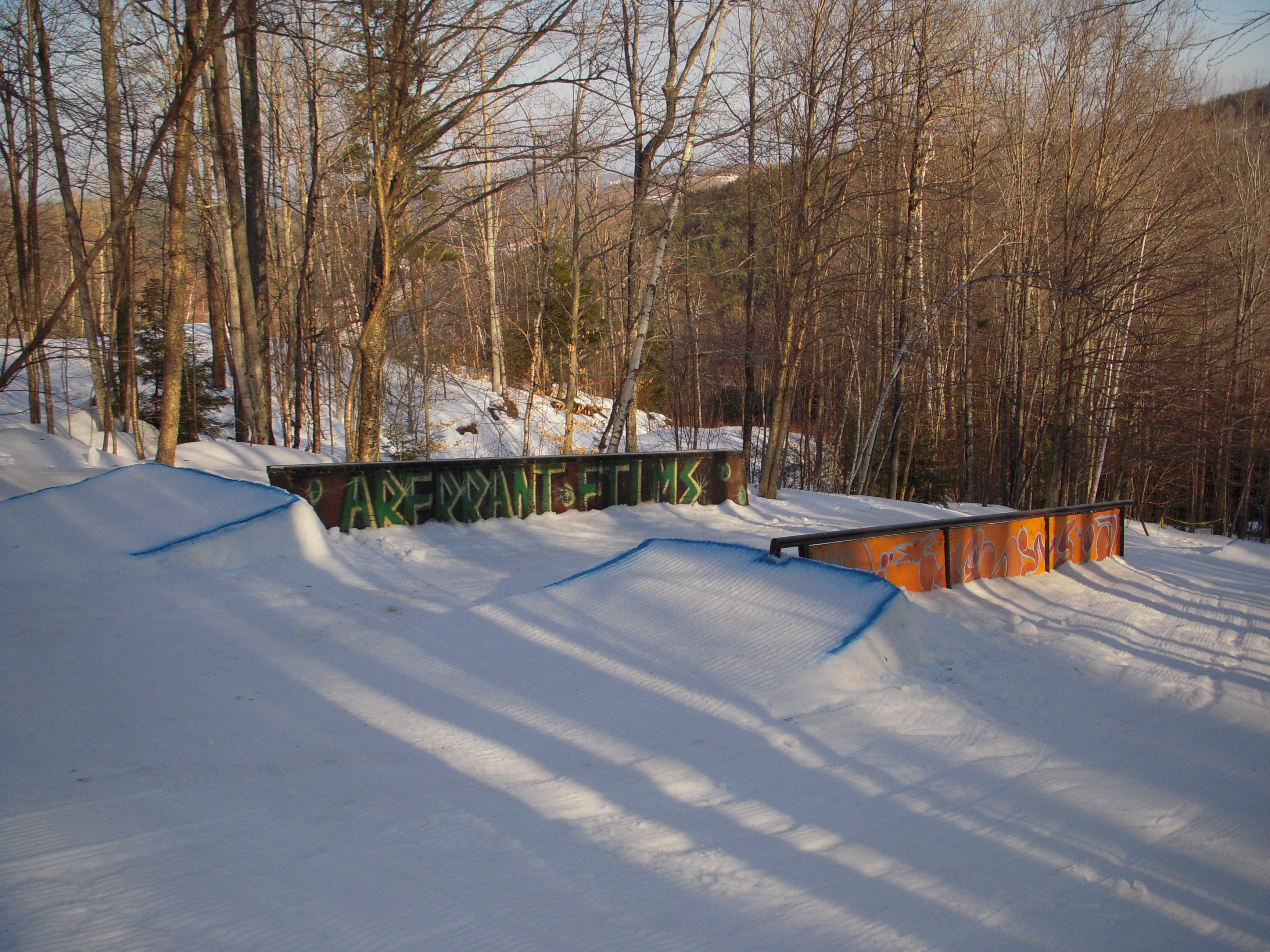 First options in the whaleback park