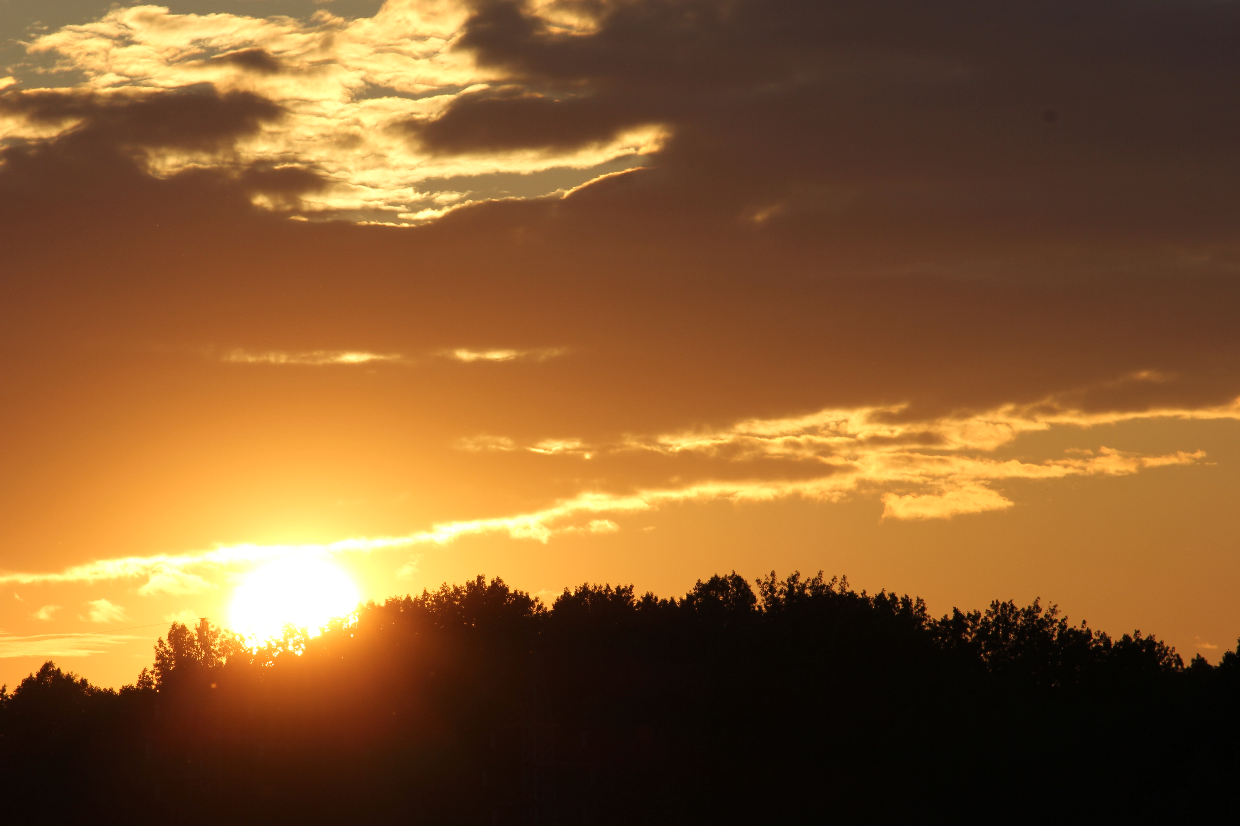 first shots with t2i