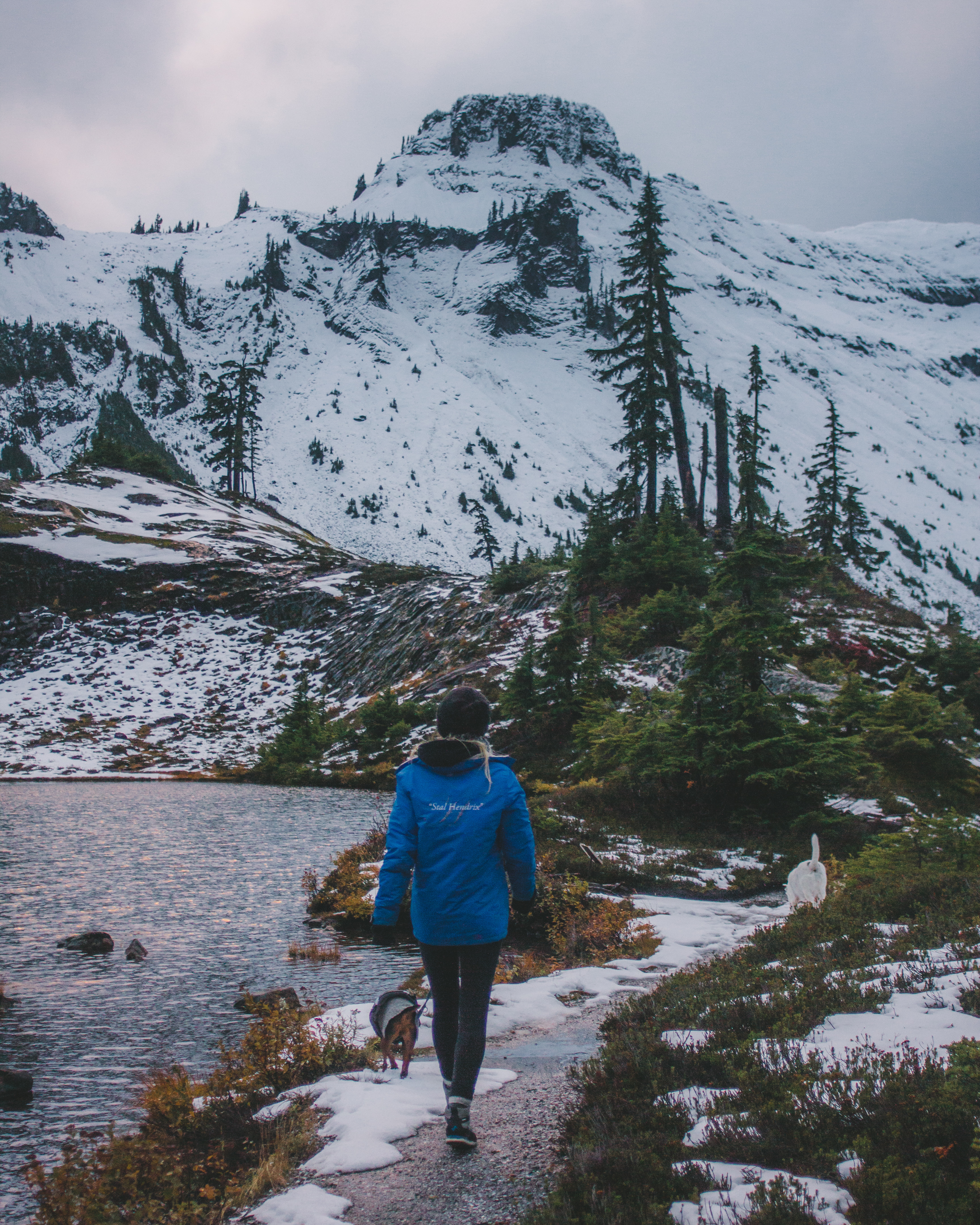 First snowfall of the year in the PNW 