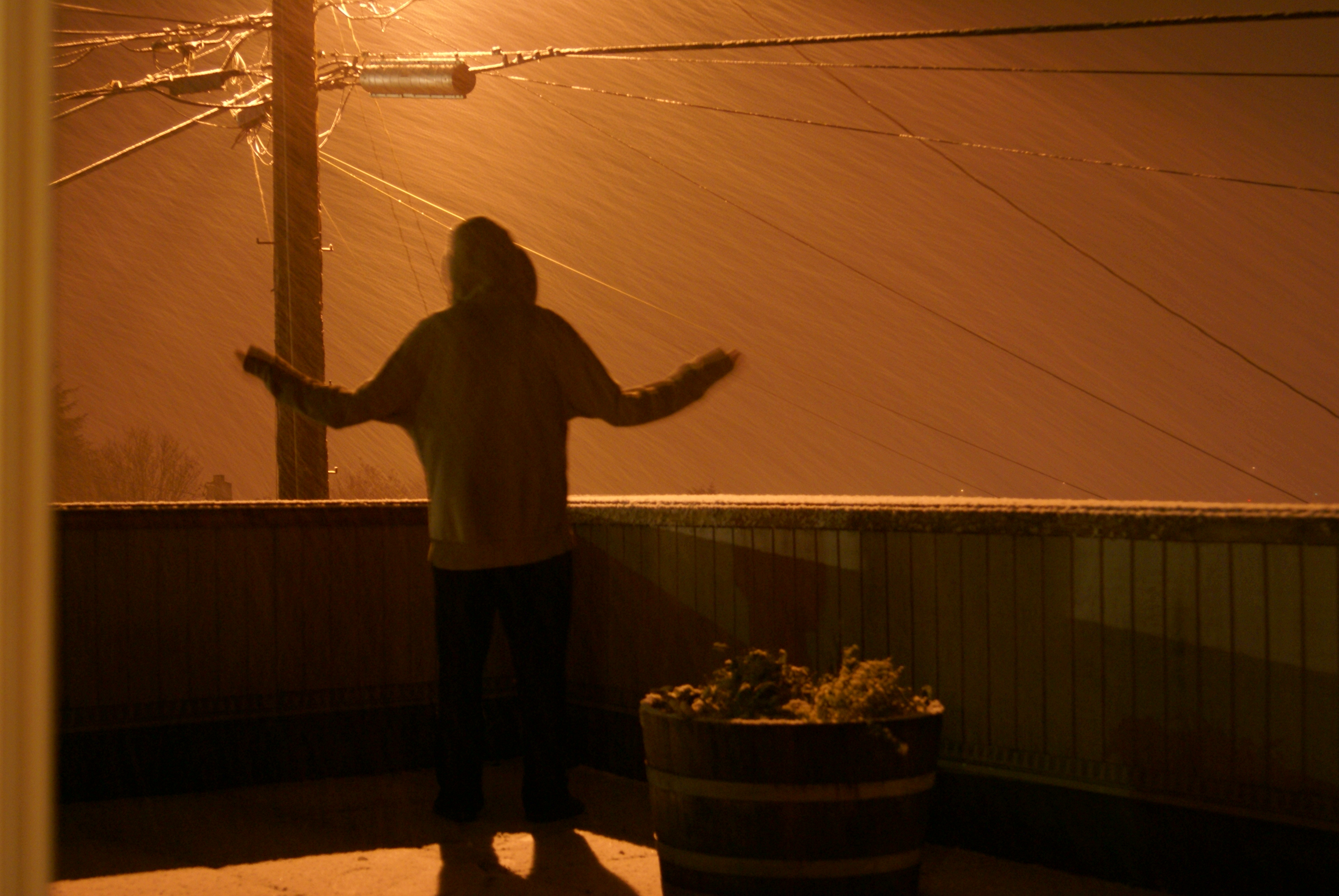 FIrst Snowfall