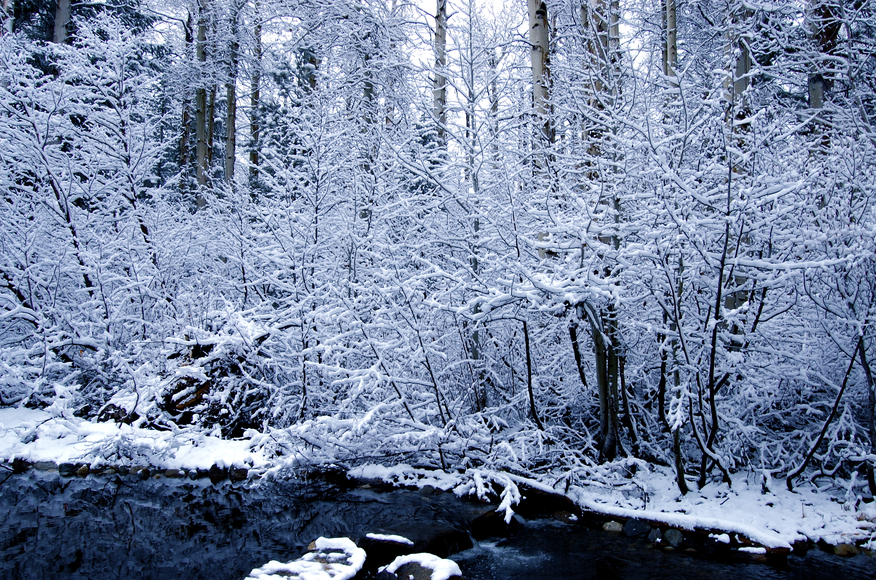 First tasty snowfall