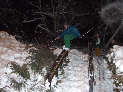 First urban rail, its made of trees