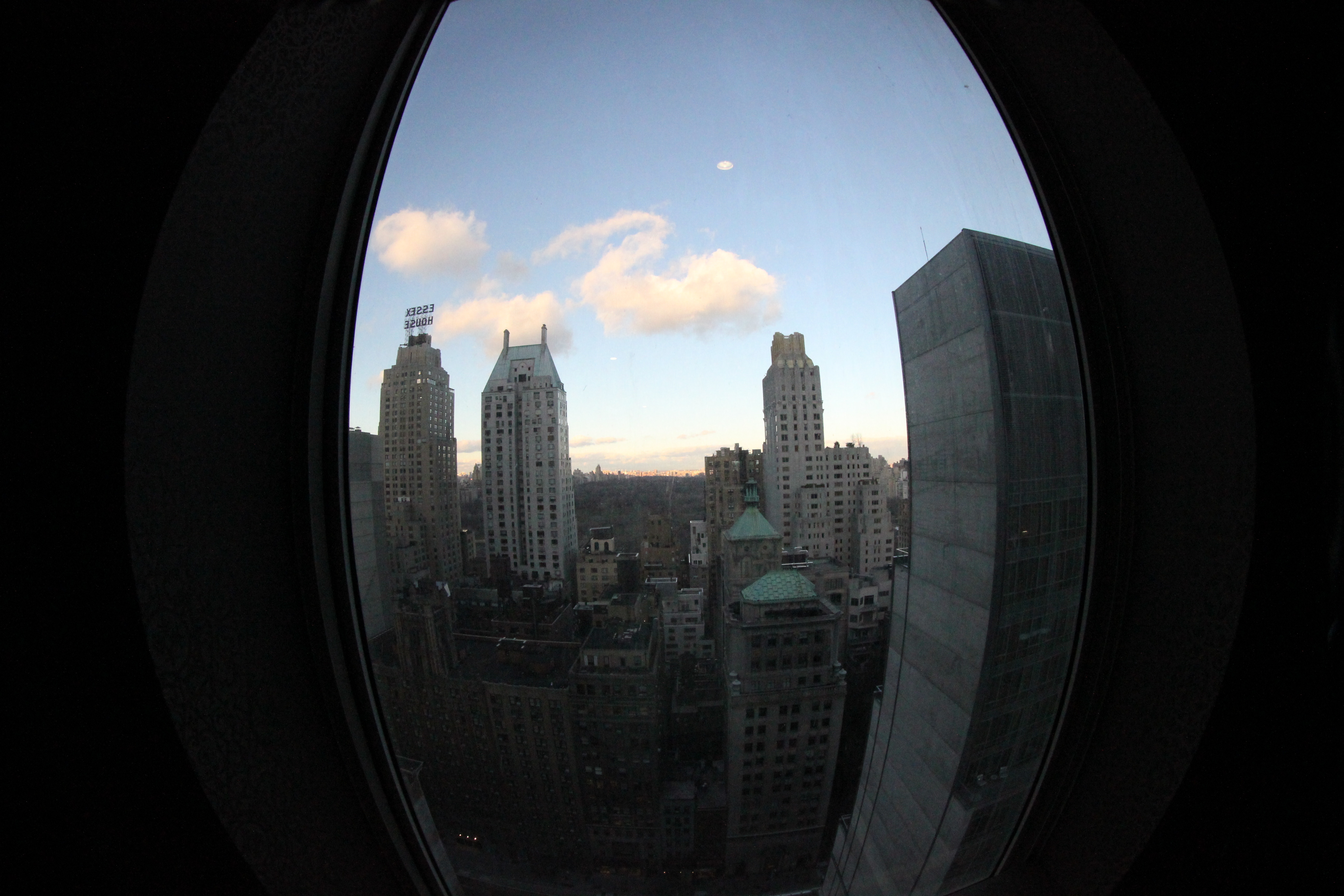 Fisheye test