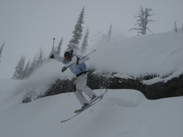 Flailing at Schweitzer