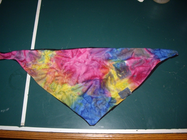 Flasback bandana