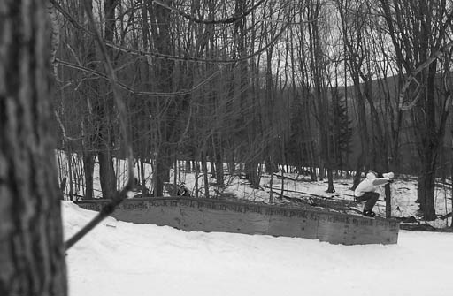 Flat Down Boardslide