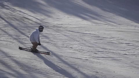 Flat Foe - Paul Marik