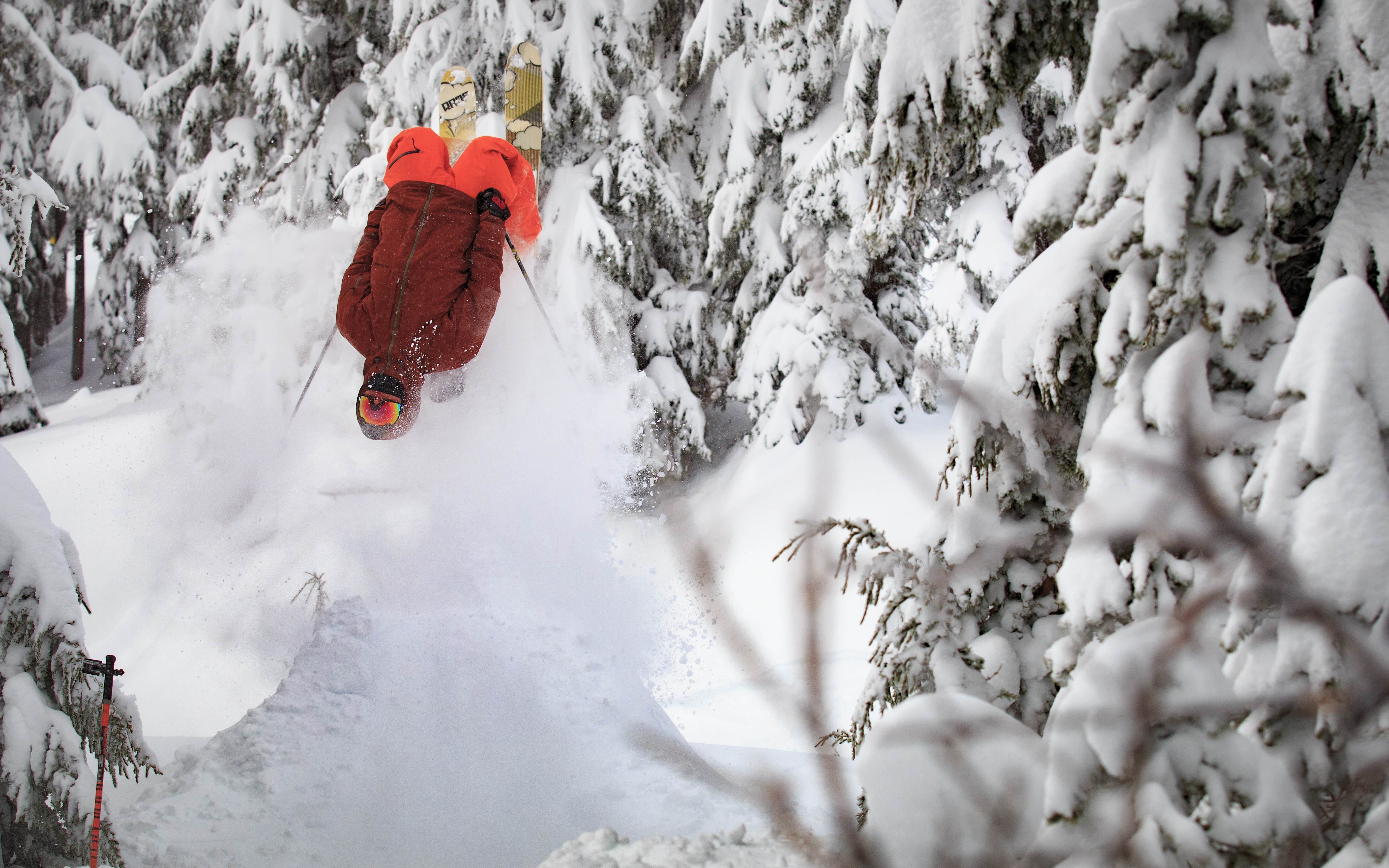 Flip into the New Year