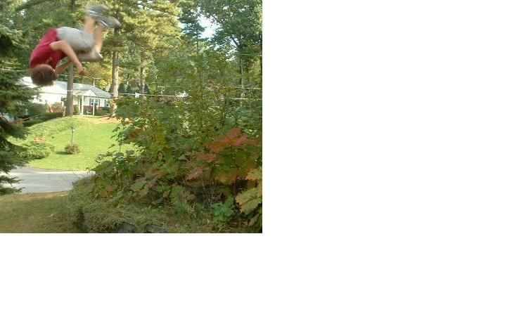 Flip over small trees