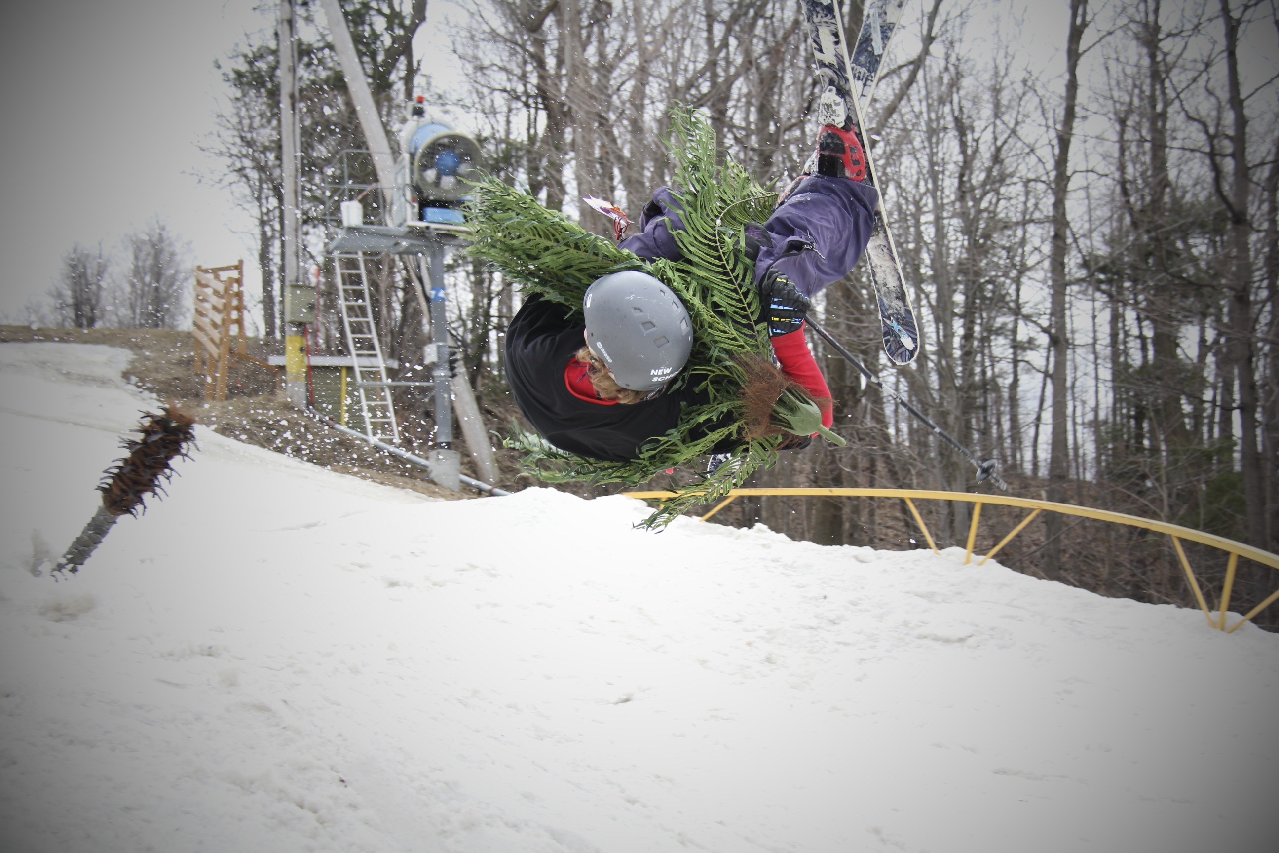 Flip with the palm tree
