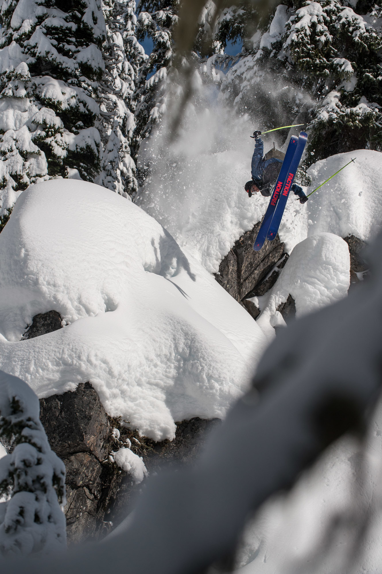 Flippinâ€™ the Bird