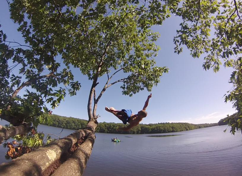 Flipping Outta Trees