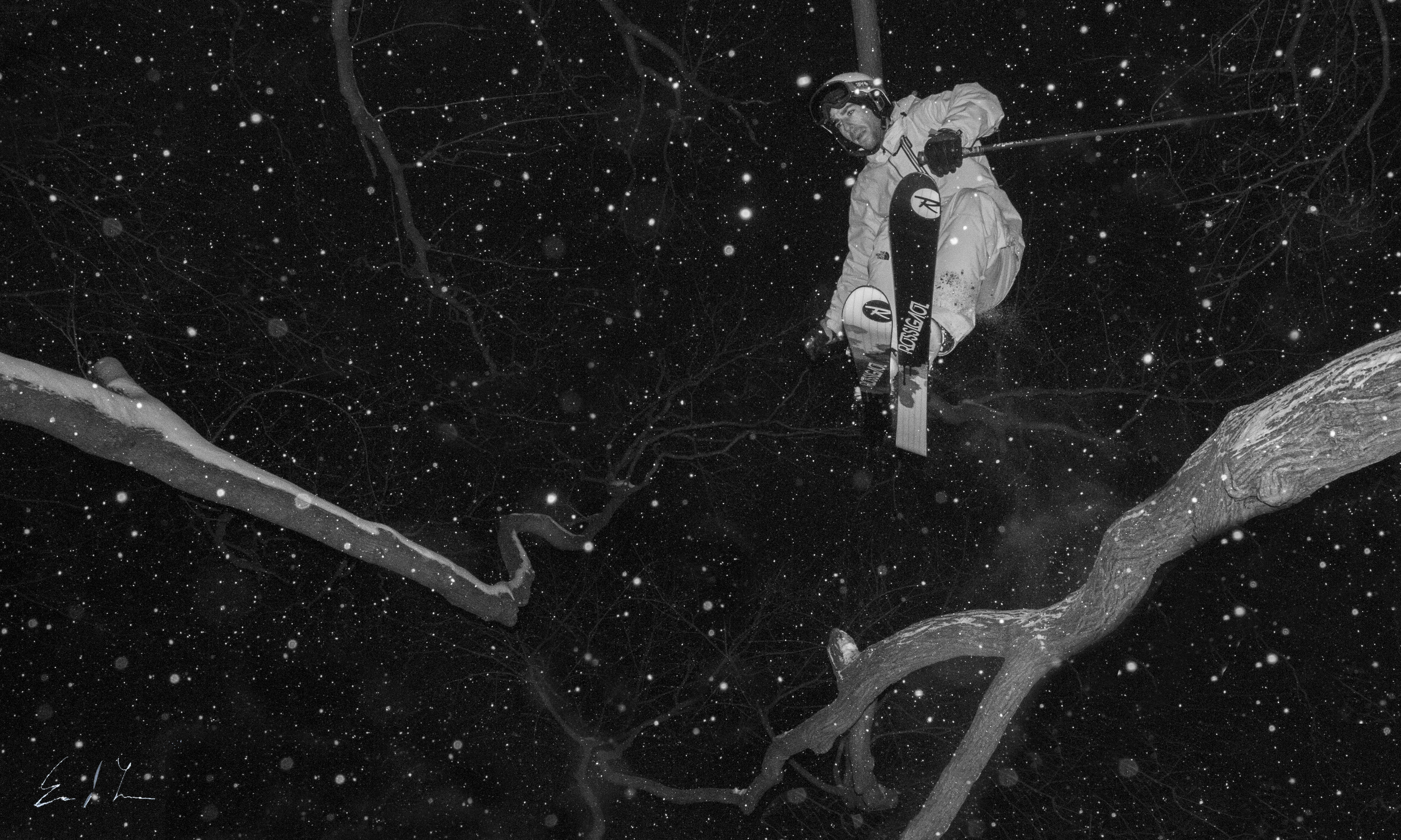 Floating in the Trees